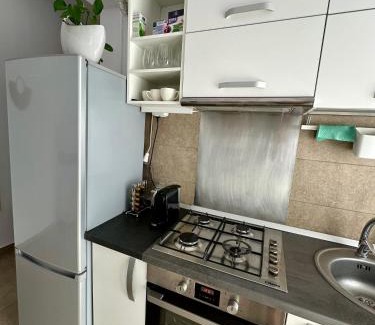 Tirgu Mures Apartment | B&B apartman