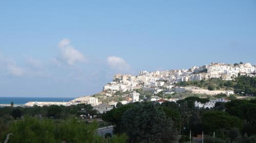 Peschici Bed & Breakfast | B&B Bella Peschici