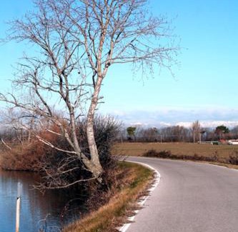 Fossalon Bed & Breakfast | b&b Bigolin Cristina