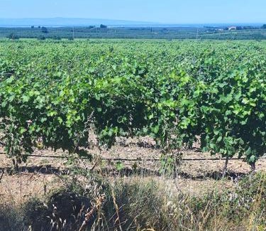 Montegrosso Other | B&B Biobonizio PIERLUIGI
