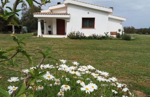 Castiadas Bed & Breakfast | B&B Briosa