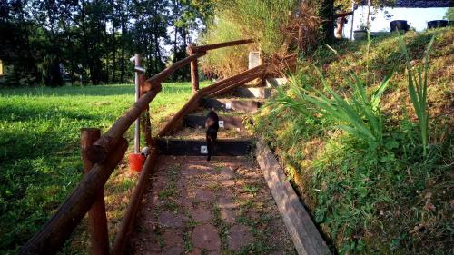 Masero Bed & Breakfast | B&B Cadrecca Tra Terra Luna e Mare