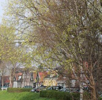Amsterdam North House | B&B Canal Sight