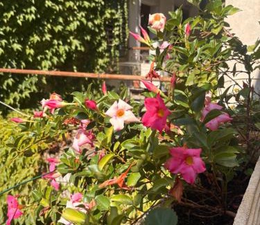 Gorizia Apartment | B&b Carducci