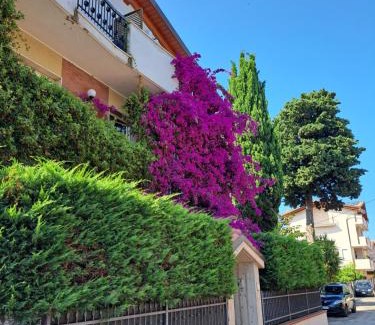 Montesilvano Bed & Breakfast | B&B Carlotta