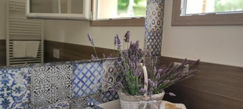 Tavullia Bed & Breakfast | B&B Casa Alysa