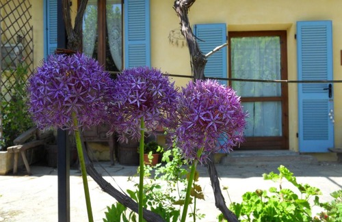 Bricherasio Bed & Breakfast | B&B Cascina Marie