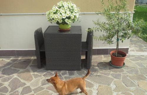 Lovoleto Bed & Breakfast | B&B Ciccilia