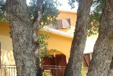 Poggio dei Pini Bed & Breakfast | B&B Coldulivo
