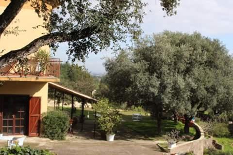Poggio dei Pini Bed & Breakfast | B&B Coldulivo