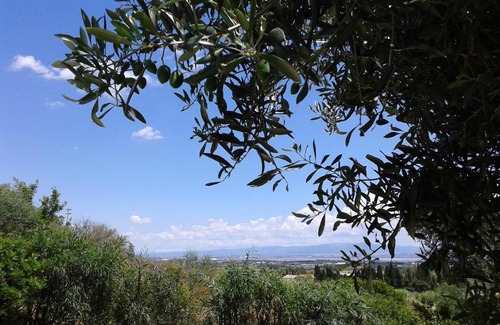 Poggio dei Pini Bed & Breakfast | B&B Coldulivo