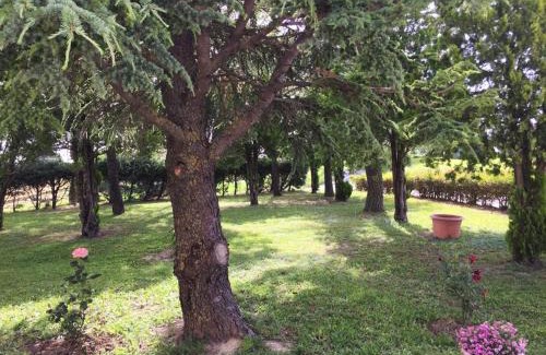 San Pietro Apartment | B&B da Eli