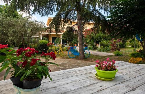 Oristano Bed & Breakfast | B&B Da Marcella