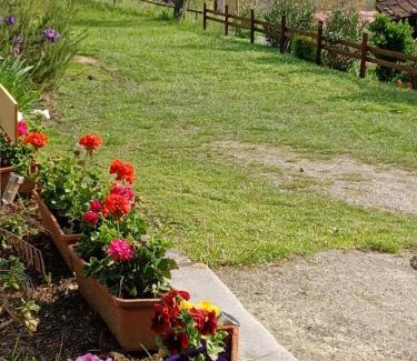 Castiglione di Garfagnana Bed & Breakfast | B&B DANIELA affittacamere