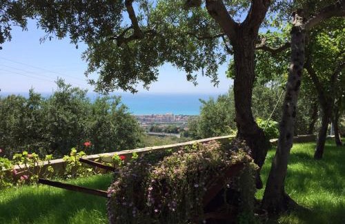 Praia a Mare Bed & Breakfast | B&B dei Fiori