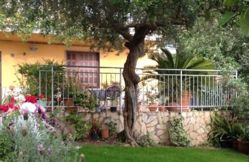 Praia a Mare Bed & Breakfast | B&B dei Fiori