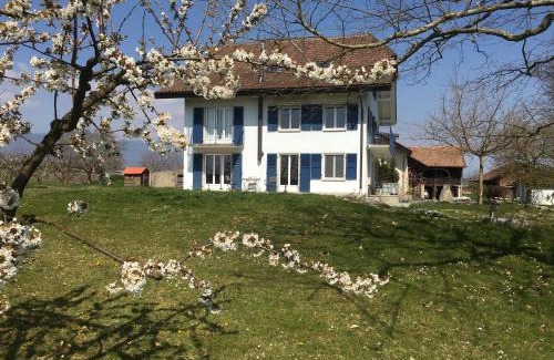 Commugny Bed & Breakfast | B&B Domaine En Trembley