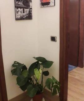 Vigentino Apartment | B&B Domobella - Ripamonti/IEO/PRADA/Bocconi -