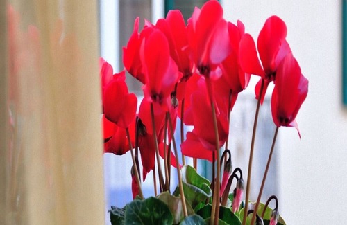 Matera Bed & Breakfast | B&B Donna Eleonora