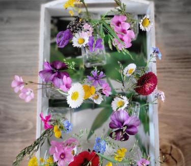 Hagnau House | B&B Fischerstüble - adults only