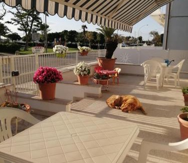 Porto San Giorgio Bed & Breakfast | B&B GALLETTO