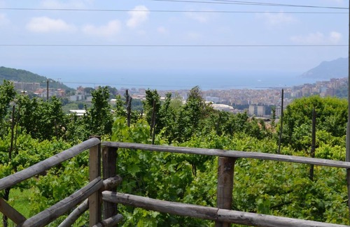 Ogliara Bed & Breakfast | b&b Green Valley