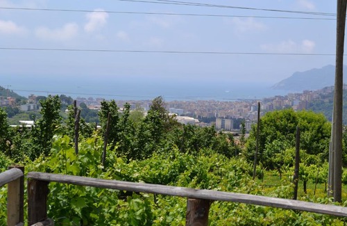 Ogliara Bed & Breakfast | b&b Green Valley