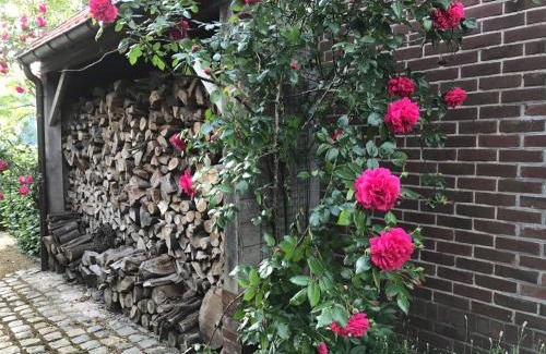 Bree Bed & Breakfast | B&B Het Welthof