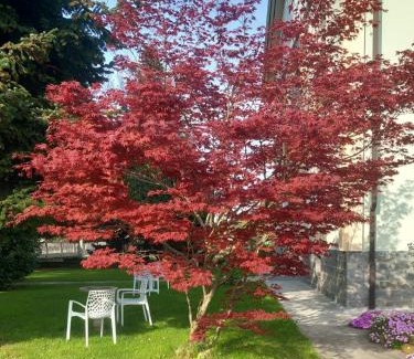 Roccavione Bed & Breakfast | B&B Il castagno