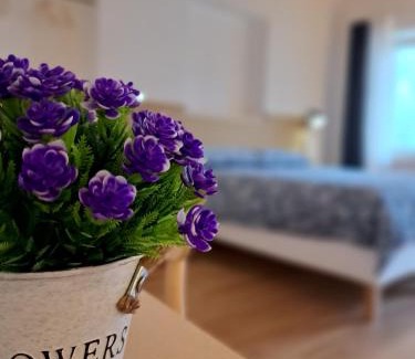 Soriso Bed & Breakfast | B&B Il Cortile