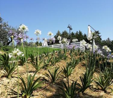 Castorano Bed & Breakfast | B&B Il Gelso Country House
