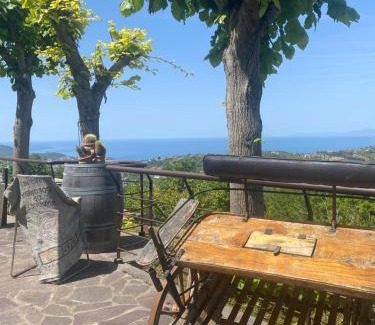Ogliastro Cilento Bed & Breakfast | B&B Il giardino di Armida