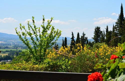 Bovara Bed & Breakfast | B&B Il Giovine