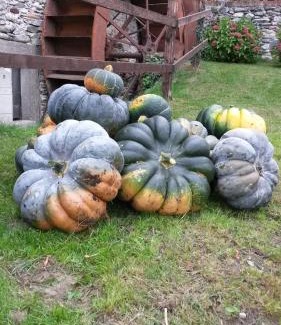 Sanfront Bed & Breakfast | B&B Il Mulino