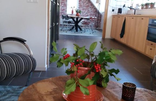Vledder Bed & Breakfast | B&B Immer met Moed