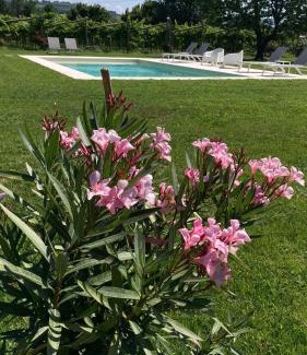 Domegliara Bed & Breakfast | B&B CAMPAGNON VALPOLICELLA