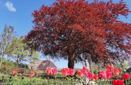 Twijzelerheide Bed & Breakfast | B&B Klassiek