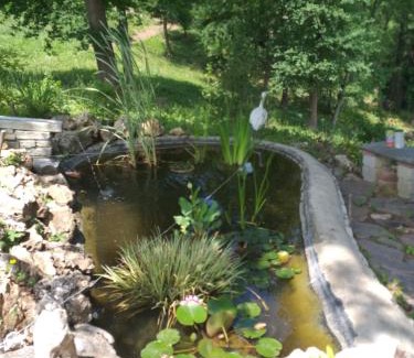Monale Bed & Breakfast | B&B La Bianchina