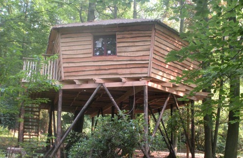 Niveze Bed & Breakfast | B&B La Cabane du Bois Dormant