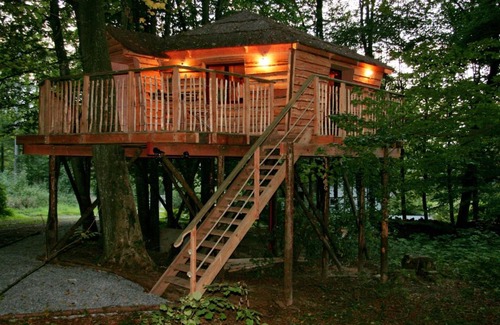 Niveze Bed & Breakfast | B&B La Cabane du Bois Dormant