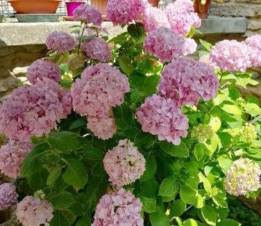Cingoli Bed & Breakfast | B&B La Chioca