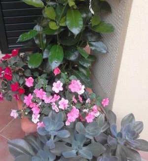 Fiumicello Santa Venere Bed & Breakfast | B&B La Dimora Di Alfonso