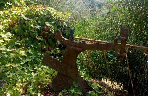 Fivizzano Bed & Breakfast | B&B La Risorgiva