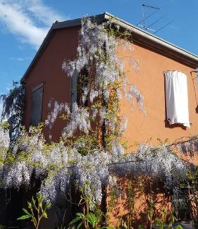Granarola Bed & Breakfast | B&B La Rosa Antica