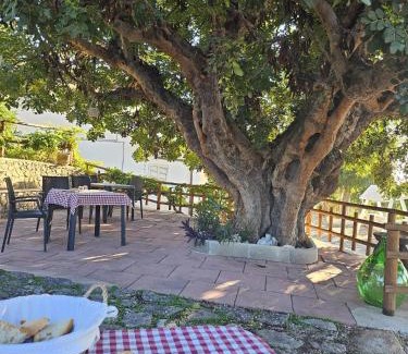 Mattinata Bed & Breakfast | B&B La Scapola