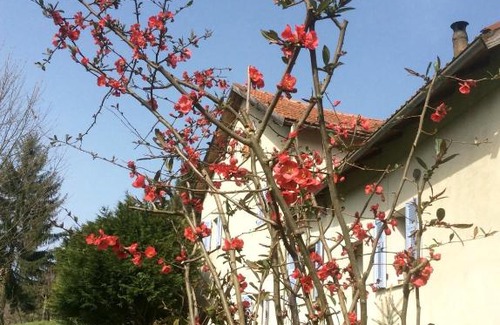 Acquasanta Bed & Breakfast | B&B La Scellana