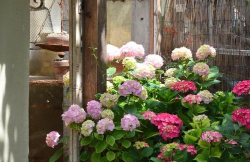 Savio Bed & Breakfast | B&B Lady Cocca