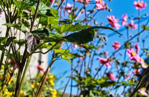 Orp-Jauche Bed & Breakfast | B&B Le Relais de Lou