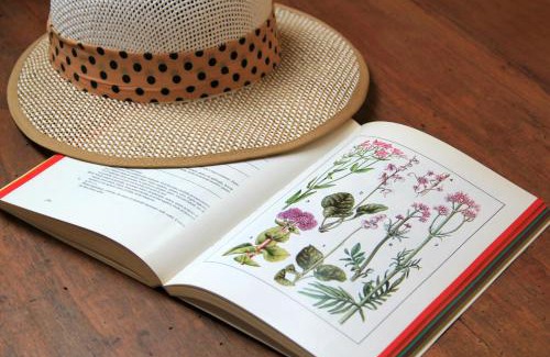 Settime Bed & Breakfast | B&B Locanda dei Tigli