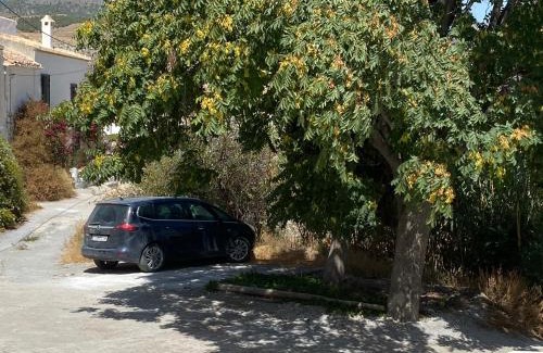 Oria Bed & Breakfast | B&B Los Lujos